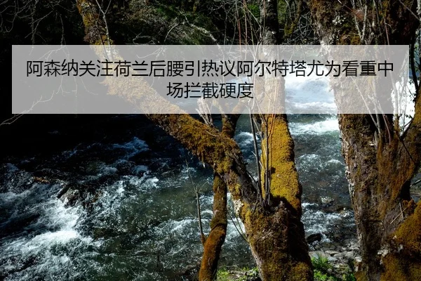 阿森纳关注荷兰后腰引热议阿尔特塔尤为看重中场拦截硬度